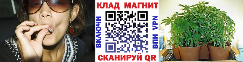 Купить наркотик Ковдор КОКАИН Гашиш СОЛЬ Кетамин Марихуана