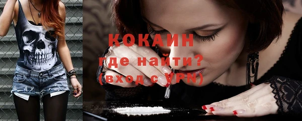 PSILOCYBIN Богданович