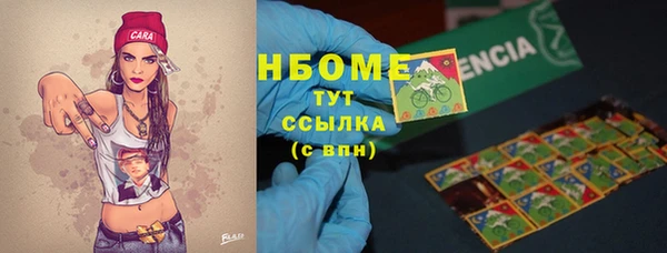 PSILOCYBIN Богданович
