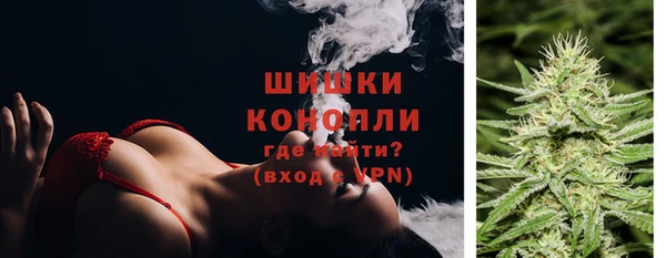крисы Богородск
