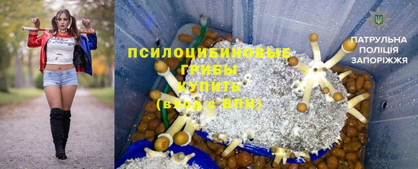 кокс Богородицк