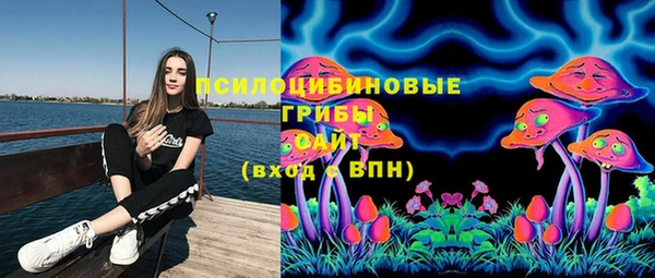 PSILOCYBIN Богданович