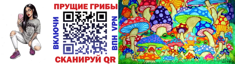 Псилоцибиновые грибы GOLDEN TEACHER  наркошоп  Ковдор 