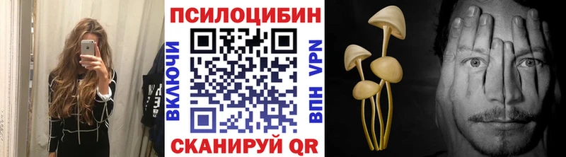 Псилоцибиновые грибы Psilocybe Ковдор
